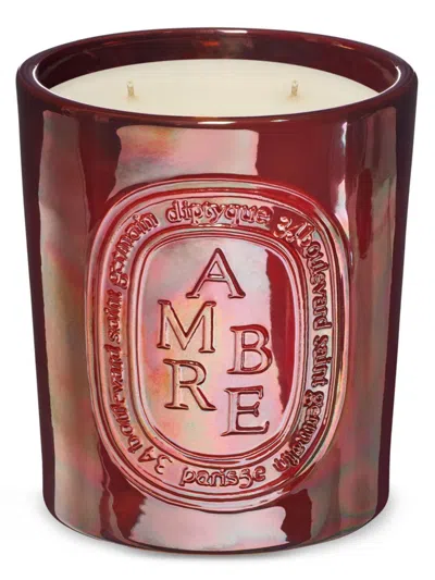 Diptyque Ambre Terracotta Pot Candle In Burgundy