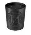 Diptyque Baies Coloured Scented Candle