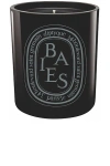 Diptyque Baies Scented Color Candle In N,a