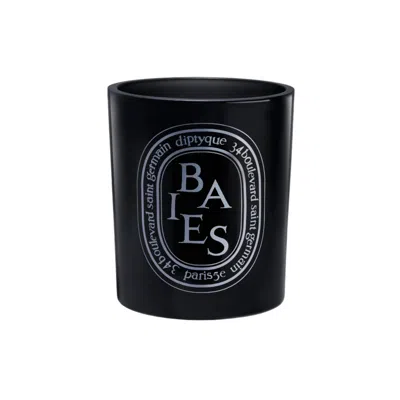 Diptyque Berries Medium Candle