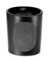 Diptyque Baies Candle Indoor And Outdoor Edition
