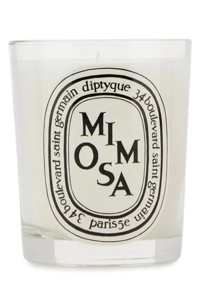 Diptyque Mimosa Candle In Multi
