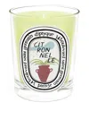 Diptyque Citronelle 190gr Candle In Multi