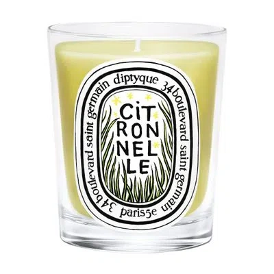 Diptyque Citronnelle Candle 190 G In Green