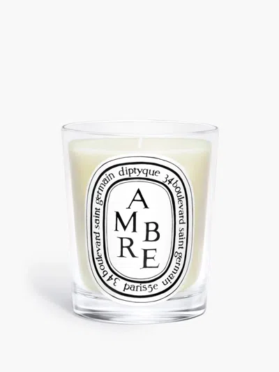 Diptyque Classic Amber Candle In Purple