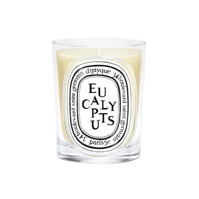 Diptyque Eucalyptus Candle In Transparent