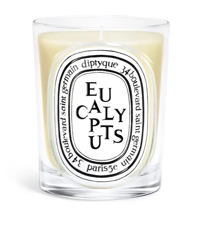 Diptyque Eucalyptus Candle In Neutral