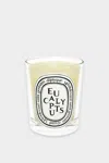 Diptyque Eucalyptus Scented Candle, 6.5 Oz.
