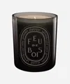 Diptyque Feu De Bois Candle 300g