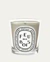 Diptyque Feu De Bois Candle