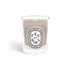 Diptyque Feu De Bois Small Scented Candle