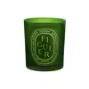 Diptyque Fig Tree Medium Candle