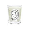 Diptyque Figuier (fig Tree) Candle