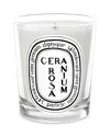 Diptyque Geranium Rosa Scented Candle