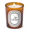 Diptyque La Droguerie Odour-removing Candle In Brown