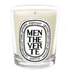 Diptyque Menthe Verte Scented Candle 190g In Multi