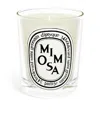 Diptyque Mimosa Candle In White