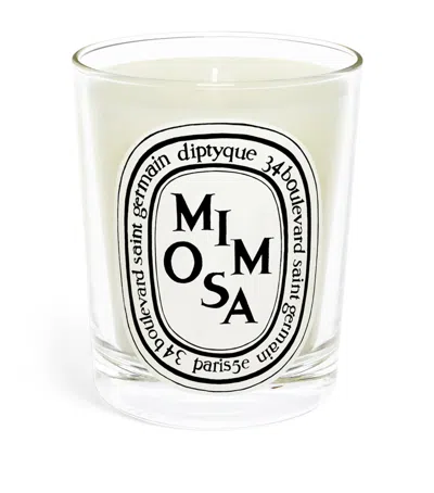 Diptyque Mimosa Candle