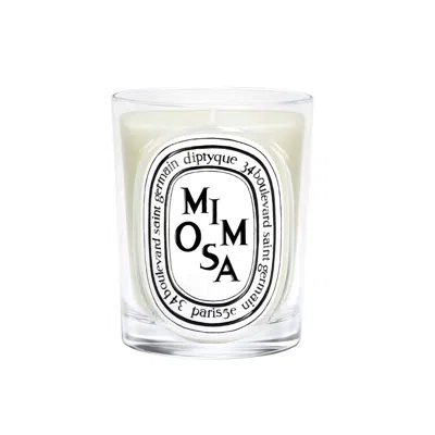 Diptyque Mimosa Candle In Transparent