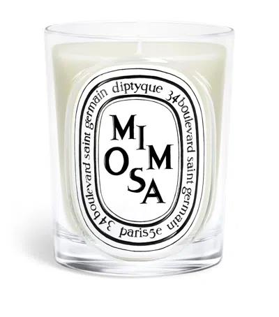 Diptyque Mimosa Candle In White