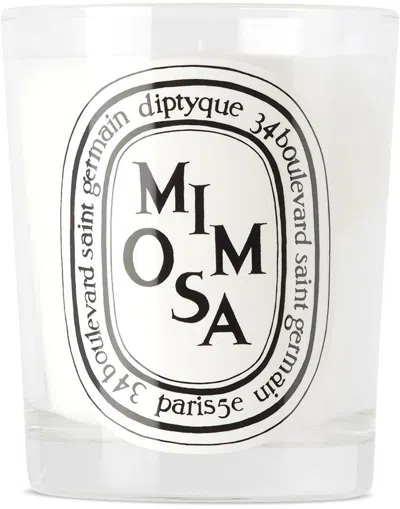 Diptyque Mimosa Classic Candle 6.5oz In White