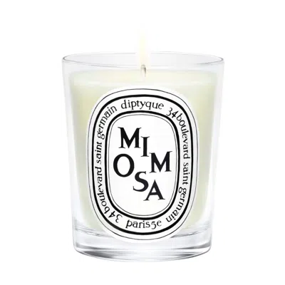 Diptyque Mimosa Classic Candle