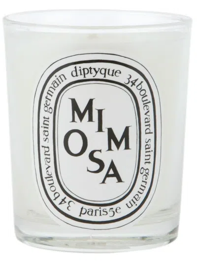 Diptyque 'mimosa' Perfume Scented Candle In White