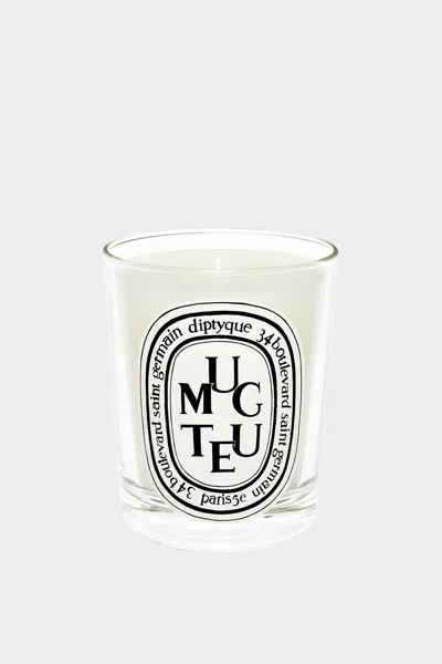 Diptyque Muguet Classic Candle 6.5oz In Transparent