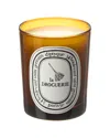 DIPTYQUE DIPTYQUE ODOR-REMOVING CANDLE