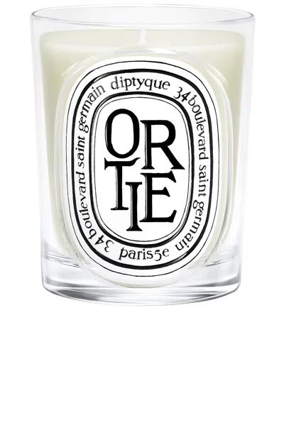 Diptyque Ortie Classic Candle In White