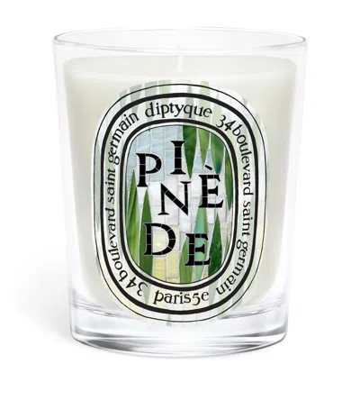 Diptyque Pinede Candle In Neutral