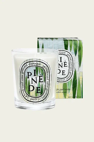 Diptyque Pinede Classic Candle 6.7oz - Summer Limited Edition 2026 In Multi