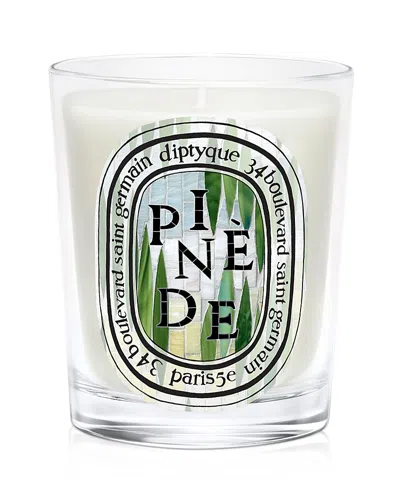 Diptyque Pinede (pine Grove) Classic Candle 6.7 Oz. In Multi