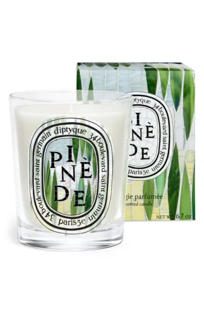 Diptyque Pinède (pine Grove) Classic Candle In Transparent