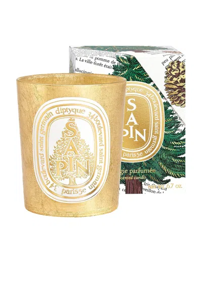 Diptyque Sapin Candle In Multi