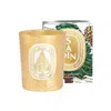 Diptyque Sapin (pine Tree) Candle (limited Edition)