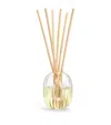Diptyque Small Glass Diffuser Vessel