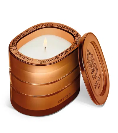 DIPTYQUE TERRES BLONDES CANDLE