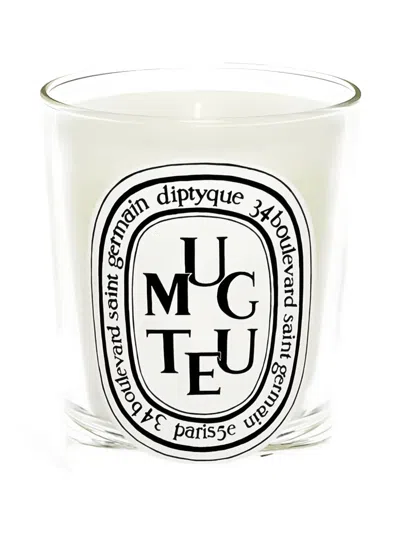 Diptyque Thrush Scented Candle (190g) In White