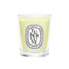 Diptyque Tubéreuse (tuberose) Candle In Transparent