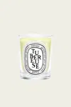 Diptyque Tubereuse Small Scented Candle 2.4 Oz. In White