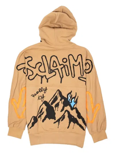 Disclaimer Mountain-print Hoodie In Brown