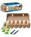 DISCOVERY DIG AND DISCOVER DINO EXCAVATION EGGS