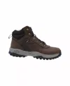 Discovery Expedition Hiking Boot In Brown In Brown