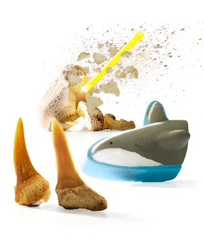 Discovery #mindblown Shark Teeth Unearthed Excavation Kit 2-pack In Blue