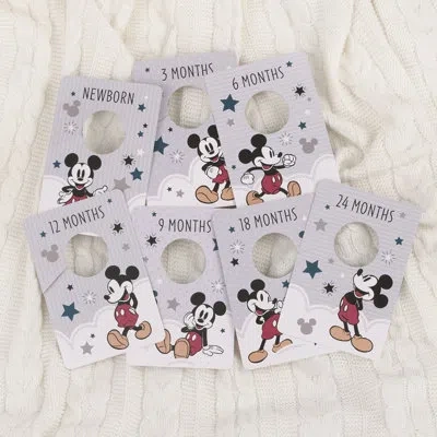 Disney Baby Closet Dividers Fabric Hanging Organizer