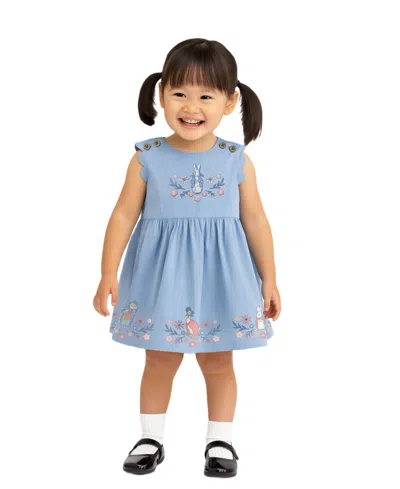 Disney Baby Girls' Peter Rabbit Crewneck Dress In Blue