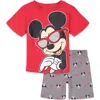 Disney Mickey Mouse & Friends T-shirt & French Terry Shorts Set In Animal Print