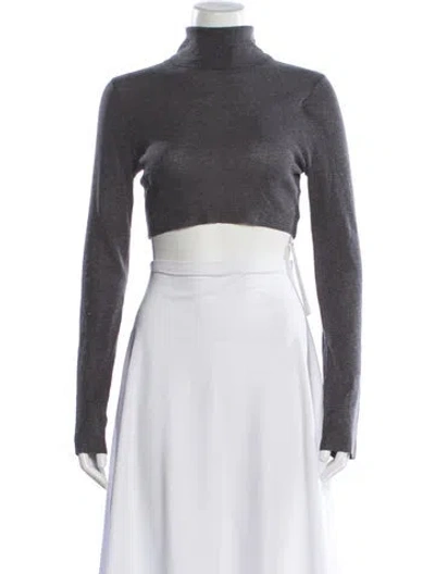 Pre-owned Dissh Turtleneck Long Sleeve Crop Top In Gray