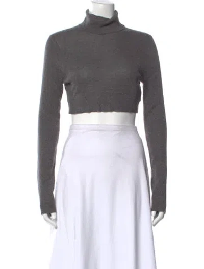 Pre-owned Dissh Turtleneck Sweater In Gray